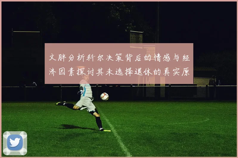 文胖分析科尔决策背后的情感与经济因素探讨其未选择退休的真实原因